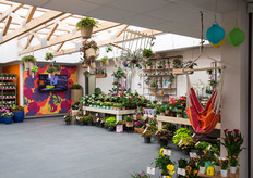 Binnen waren er ook veel varieteiten van Dümmen Orange gepresenteerd (op de locatie in Rheinberg).